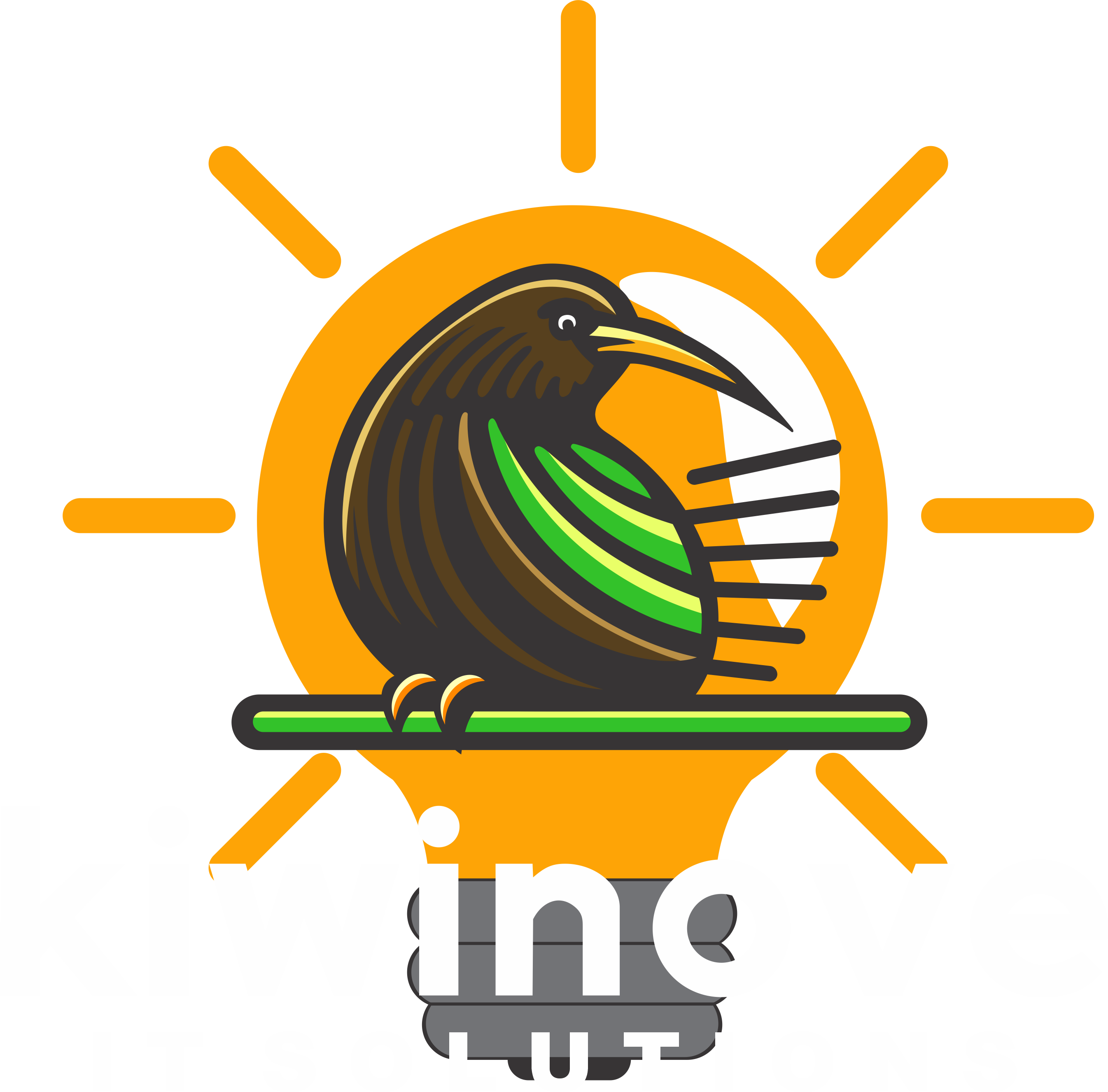 Kiwinove IT Solutions